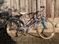 26 Zoll  Fahrrad Radl Bike Bayern - Berching Vorschau