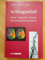 Schlaganfall Klinik Diagnostik Therapie Nürnberg (Mittelfr) - Nordstadt Vorschau