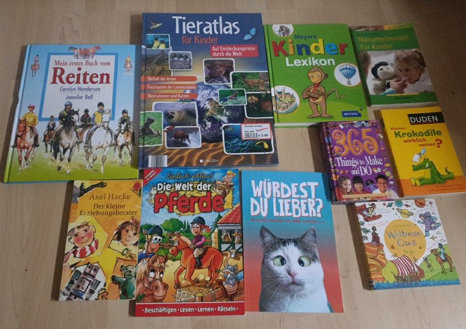 Großes Bücherset zum Lesen & Nachschlagen (gerne auswählen) in Frankfurt am Main