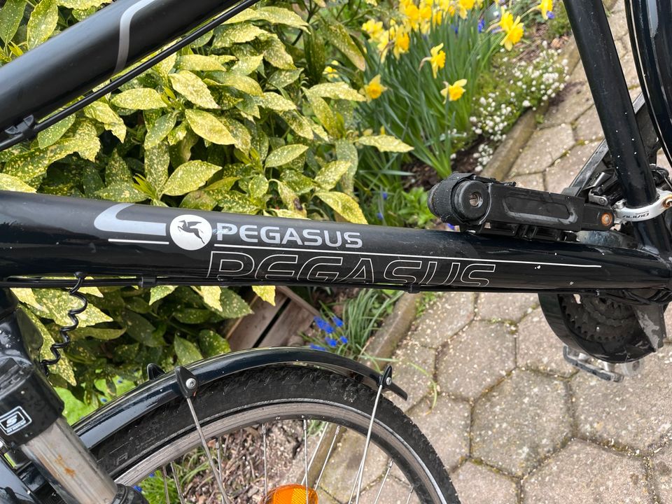 Herrenrad SL Premio von Pegasus in Triefenstein