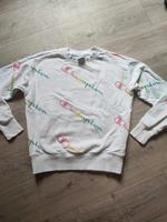 Champion Pullover gr small Bochum - Bochum-Wattenscheid Vorschau