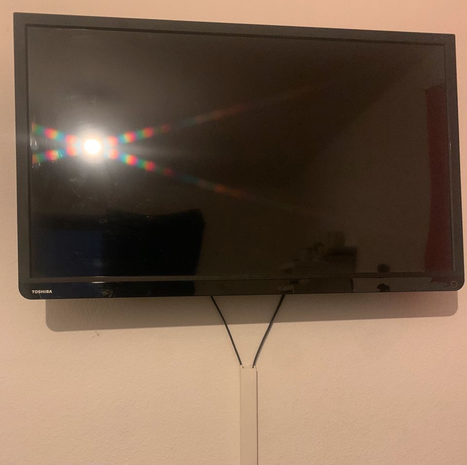 TOSHIBA Flachbild TV - 80cm Diagonale 31.5 Zoll in Bingen