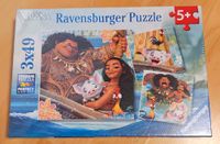 Ravensburg Puzzle Baden-Württemberg - Tettnang Vorschau