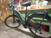 Herren E-Bike Baden-Württemberg - Ellwangen (Jagst) Vorschau