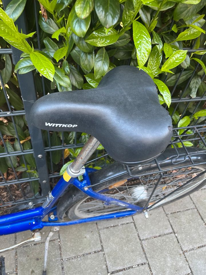 Fahrrad Damen in München