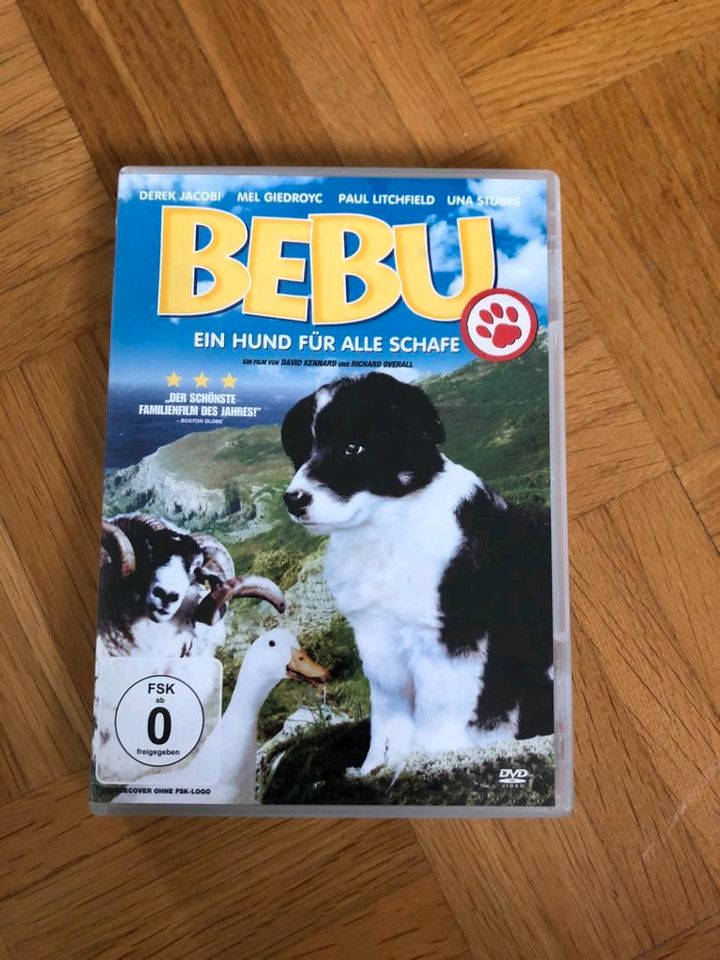 Kinderfilme DVD: Benjamin Blümchen, Yakari wNEU in Leingarten