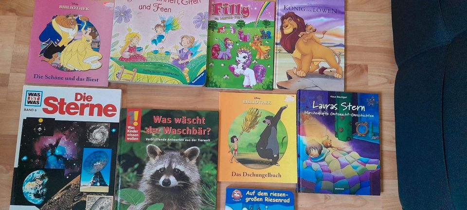 Kinderbücher Gesamtpaket in Vohburg an der Donau