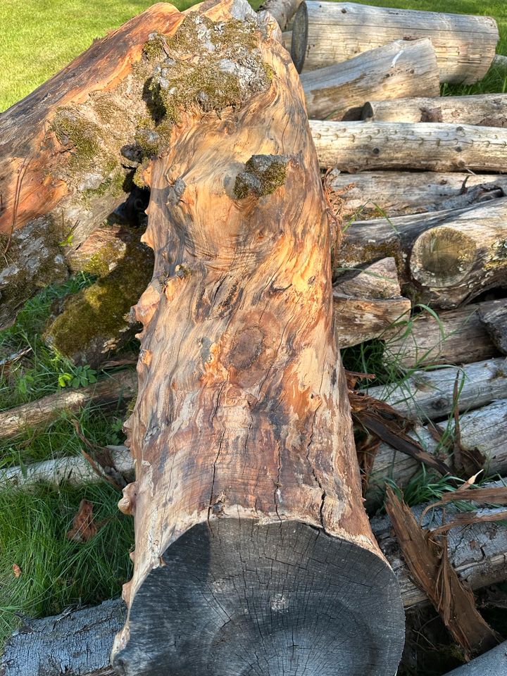 Apfelbaumstamm Holzkunst Obstbaum Holzstamm in Hessisch Lichtenau