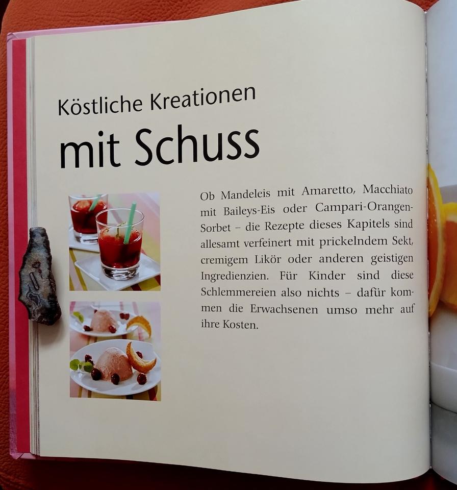 Buch*Köstliche Eis-Kreationen*80 tolle Rezepte*neuwertig in Harra