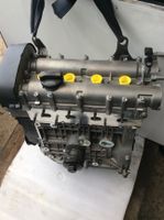 NEU VW Motor 1,4L 16V  55KW   AKQ   AHW Thüringen - Bad Liebenstein Vorschau