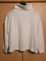 Opus GAVION Pullover  Rollkragen Gr. 40 ☆neuwertig☆ Niedersachsen - Walsrode Vorschau