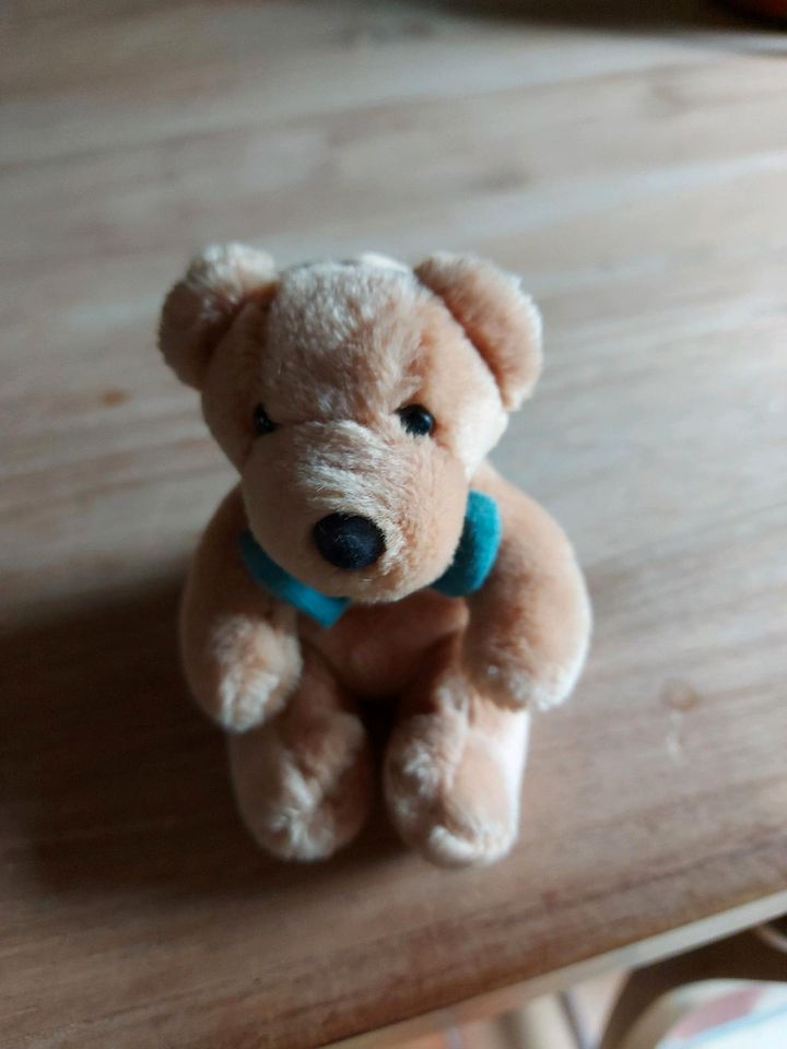 Nici Teddybär in Ueß