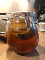 Kombucha Scoby - Teepilz Leipzig - Sellerhausen-Stünz Vorschau