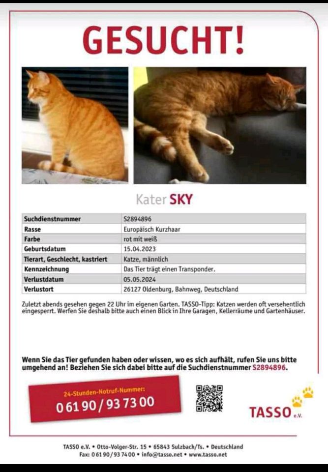 Katze vermisst in Oldenburg