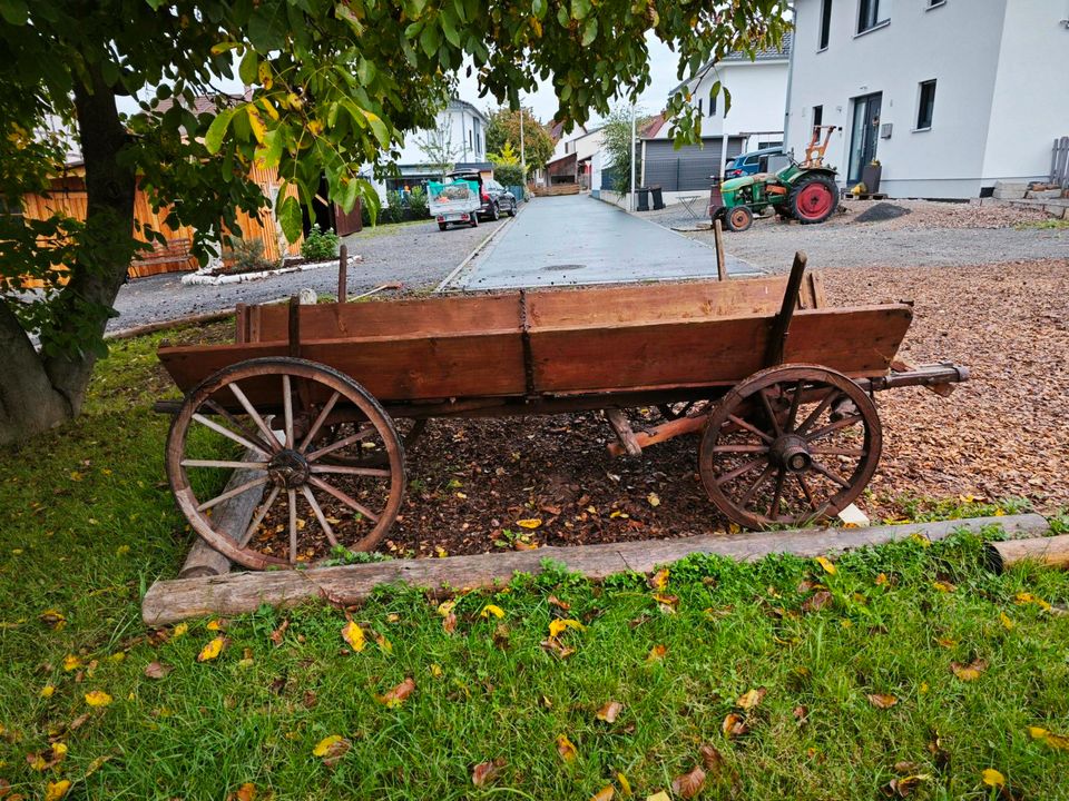 Holzwagen antik  in gutem Zustand in Eschau