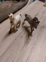 Zwei Schleich Pferde neu mit Schild Nordvorpommern - Landkreis - Barth Vorschau