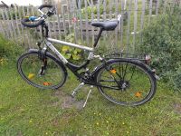 Fahrrad Trekkingrad Cyco 28“ Mecklenburg-Vorpommern - Poseritz Vorschau