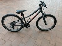 Specialized Mountainbike 24 Zoll Kinderfahrrad Thüringen - Sondershausen Vorschau