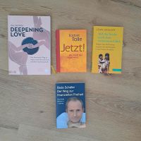 Bücherpaket, Bodo schäfer, Eckhart Tolle Bayern - Massing Vorschau