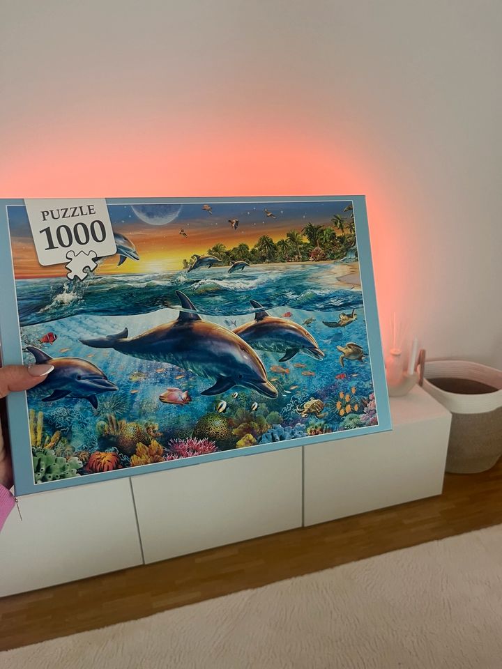 Puzzle 1000 teile in Bad Friedrichshall