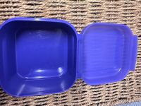 Tupperware Bellevue Dose 450 ml Klapp-Deckel lila Niedersachsen - Hemsbünde Vorschau