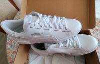 Sportschuhe Puma Hemelingen - Arbergen Vorschau