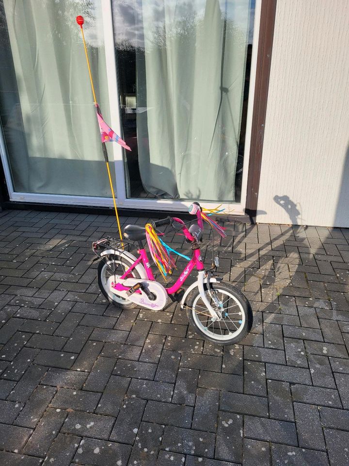 Kinder Fahrrad mit Stützrädern in Tremsbüttel