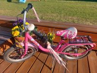 Puky 16 Zoll Fahrrad Kind Mädchen Rosa Pink Sachsen-Anhalt - Niederndodeleben Vorschau
