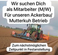 Suche Mitarbeiter für landwirtschaftlichen Betrieb  (m/w) Dithmarschen - Wesselburen Vorschau