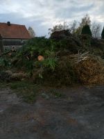 Baumverschnitt Astwerk Verschnitt Baum Reisig Sachsen - Großschirma Vorschau