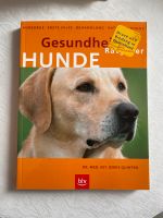 Hunde-Buch Gesundheitsratgeber Hunde Mecklenburg-Strelitz - Landkreis - Neverin Vorschau
