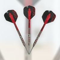 TARGET NATHAN ASPINALL G2 STEELDARTS Bayern - Kissing Vorschau