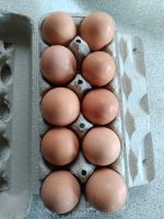 Frische Eier. Sachsen - Schönheide Vorschau