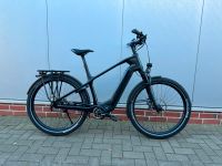 Simplon Kagu Pinion E1.12 Herren MGU Carbon 160KG Sofort Ebike Niedersachsen - Jade Vorschau