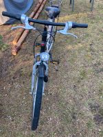 Fahrrad zu verkaufen Brandenburg - Am Mellensee Vorschau