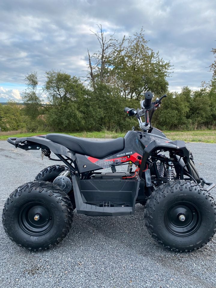 Pocket Bike Quad 1000 Watt 48V NEU Elektro Kinderquad Mini ATV in Aschaffenburg