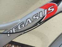 Fahrrad 28 Zoll  Marke PEGASUS Nordrhein-Westfalen - Porta Westfalica Vorschau