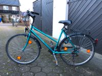 Kalkhoff Damen Fahrrad Schleswig-Holstein - Großenaspe Vorschau