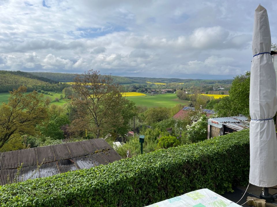 Freizeitgrundstück / Garten  mit 2x Gartenhaus und Nebengelass  in 06722 Wetterzeube in Wetterzeube