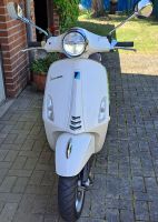 Vespa Primavera Piaggio 50 E5 Nordrhein-Westfalen - Delbrück Vorschau