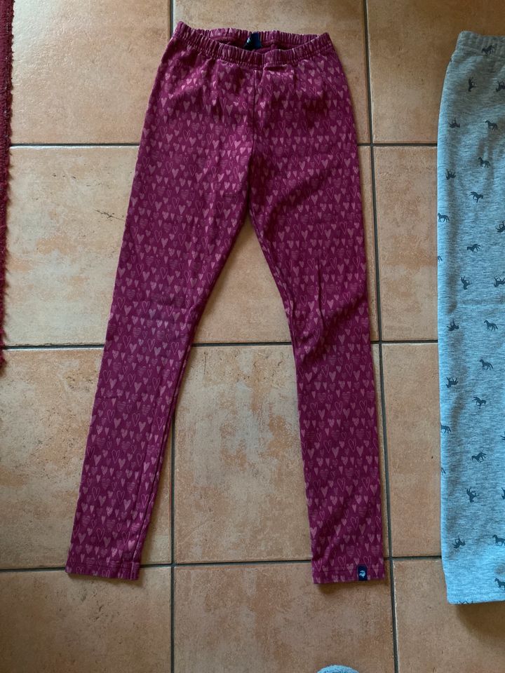 3 leicht gefütterte leggings gr 146/152 yigga jakoo Pferd in Rudolstadt