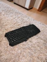 Gaming Tastatur Schleswig-Holstein - Süderbrarup Vorschau