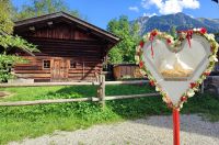 Hochzeitstauben weiße Brieftauben Memmingen Augsburg Allgäu Bayern - Sontheim Vorschau