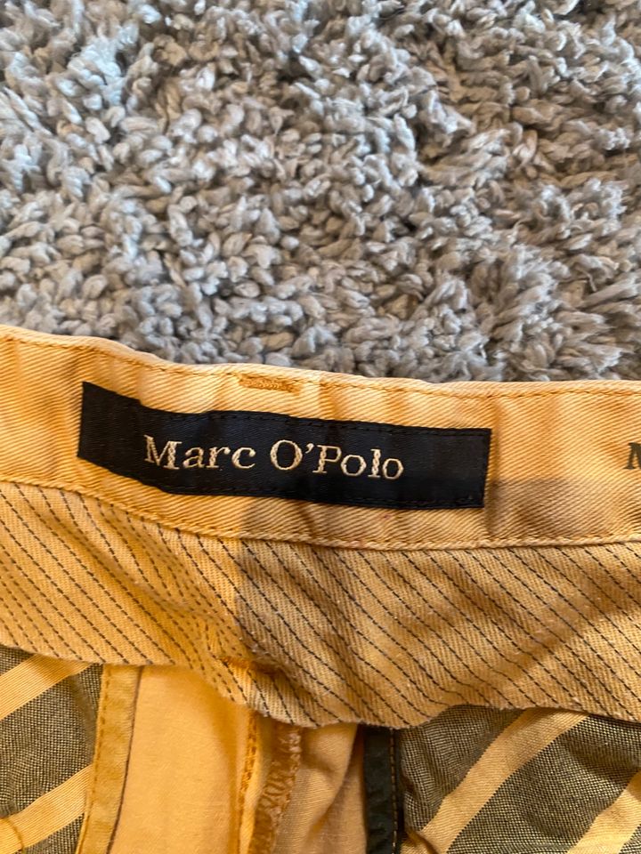 Chino senffarben von Marco Polo in Rosenheim