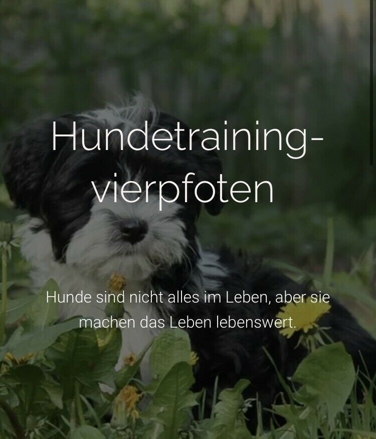 Hundetraining Vierpfoten in Hamburg