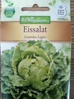 Saatgut Eissalat Eisbergsalat Bayern - Stadtsteinach Vorschau