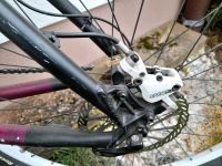 Damen Mountainbike Scott Contessa Rheinland-Pfalz - Hasborn Vorschau