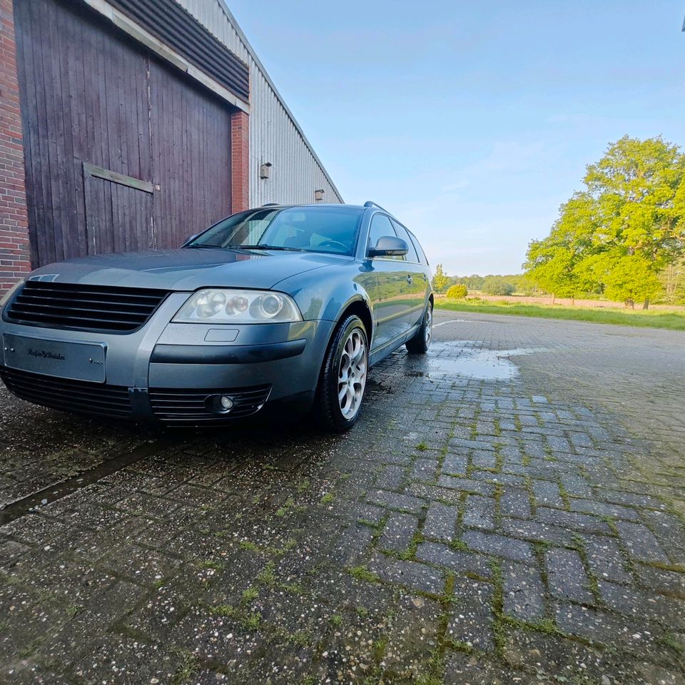 Passat 3BG  Variant 1,9 TDI in Großefehn