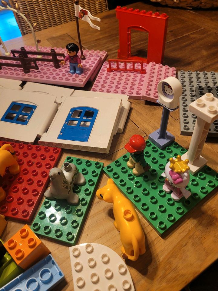 Riesiges Paket an LEGO DUPLO (171 Teile) in Karben