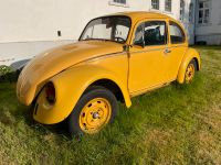 VW México Käfer Nordrhein-Westfalen - Kirchhundem Vorschau